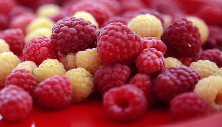 Similar image 206333