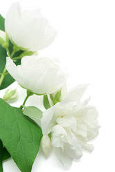 Similar image 206403