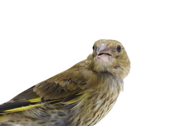 Similar image 206405