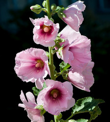 Similar image 206413