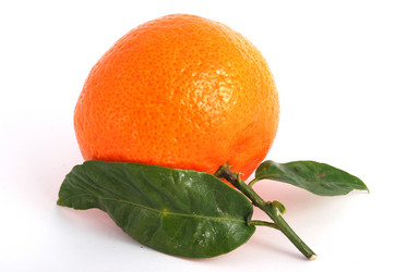 Similar image 206526