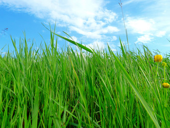 Similar image 206644