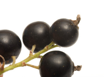 Similar image 206760