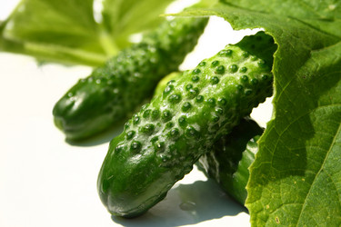 Similar image 206779