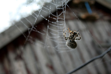 Similar image 206828