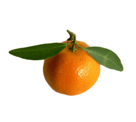 Similar image 206859