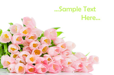 Similar image 206870