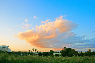 Similar image 206881