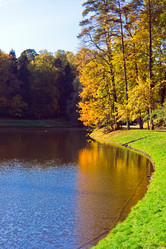 Similar image 206882