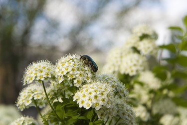 Similar image 206901