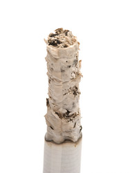 Similar image 206930