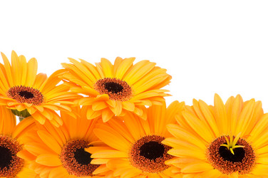 Similar image 206939