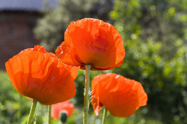 Similar image 206944