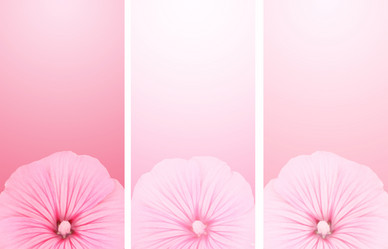 Similar image 207015