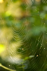 Similar image 207022