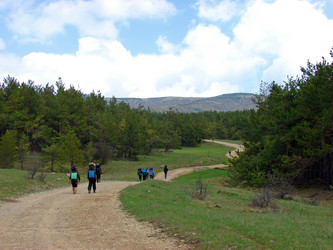 Similar image 207057