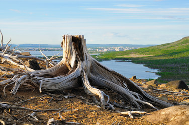 Similar image 207133