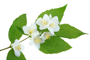 Similar image 207134