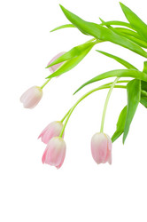 Similar image 207144