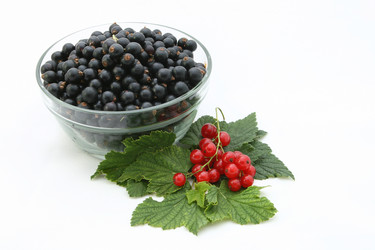 Similar image 207176