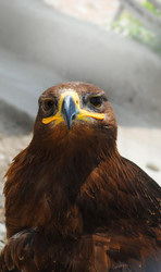 Similar image 207179