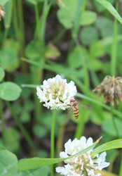 Similar image 207190