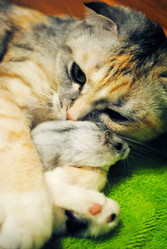 Similar image 207208