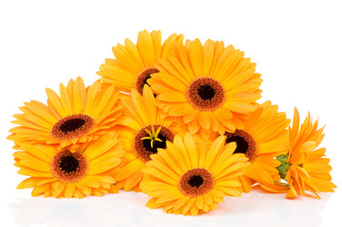 Similar image 207258