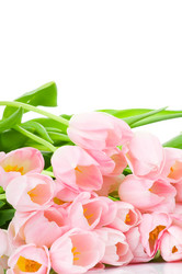 Similar image 207312