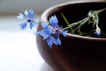 Similar image 207382