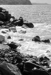 Similar image 207384