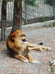 Similar image 207395