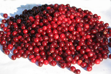 Similar image 207416