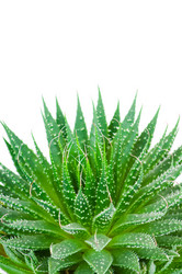 Similar image 207440