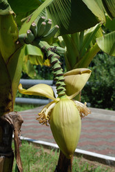 Similar image 207452