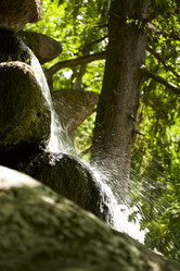 Similar image 207465