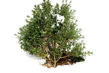 Similar image 207492