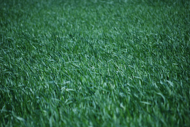 Similar image 207504