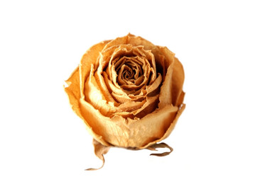 Similar image 207594