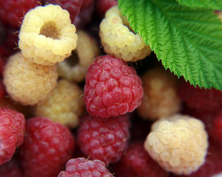 Similar image 207611