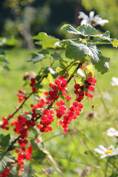 Similar image 207614