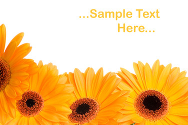 Similar image 207717