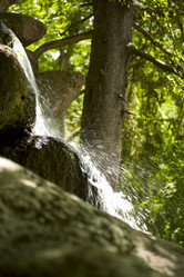 Similar image 207722