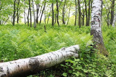 Similar image 207728