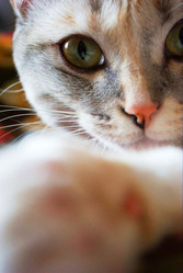 Similar image 207734