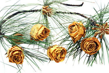 Similar image 207739