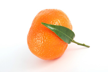 Similar image 207740