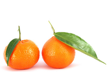 Similar image 207742