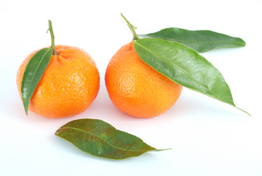 Similar image 207744