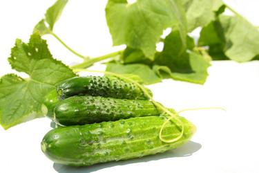 Similar image 207749